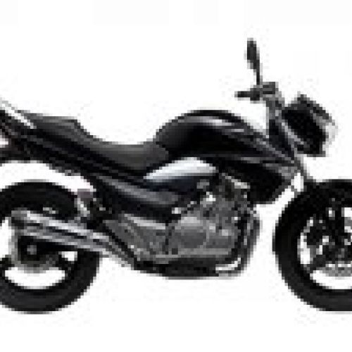 INAZUMA 250